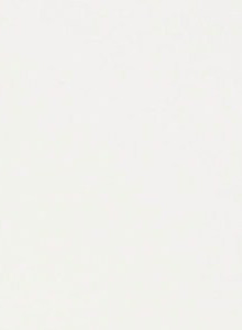 Schiebevorhang 60x270 cm 