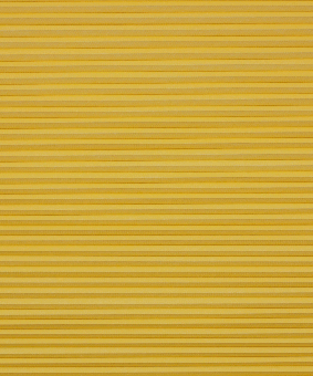 Wabenplissee Thermo black out gelb 